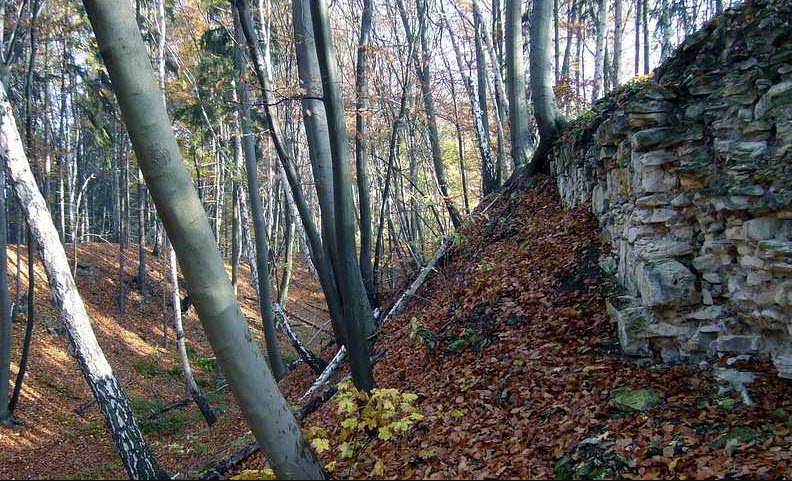 Zřícenina Hradu Džbán, Czech Republic (Czechia)